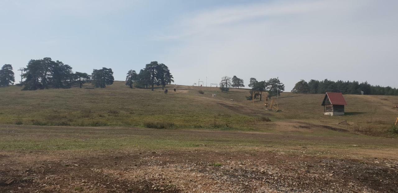 Apartman Konak 23-4 Zlatibor Luaran gambar